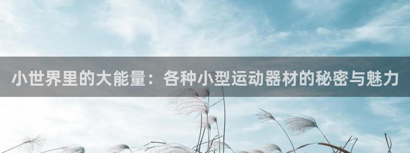 fb体育神州:小世界里的大能量:各种小型运动器材的秘密与魅力