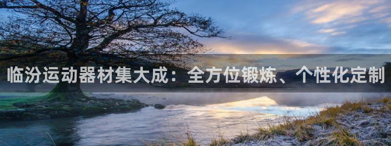 fb体育新能源:临汾运动器材集大成:全方位锻炼、个性化定制